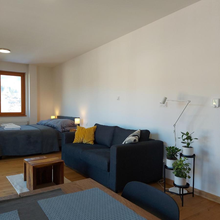 Studio Apartman 22, Rezidence Javor Zelezna Ruda Exterior photo