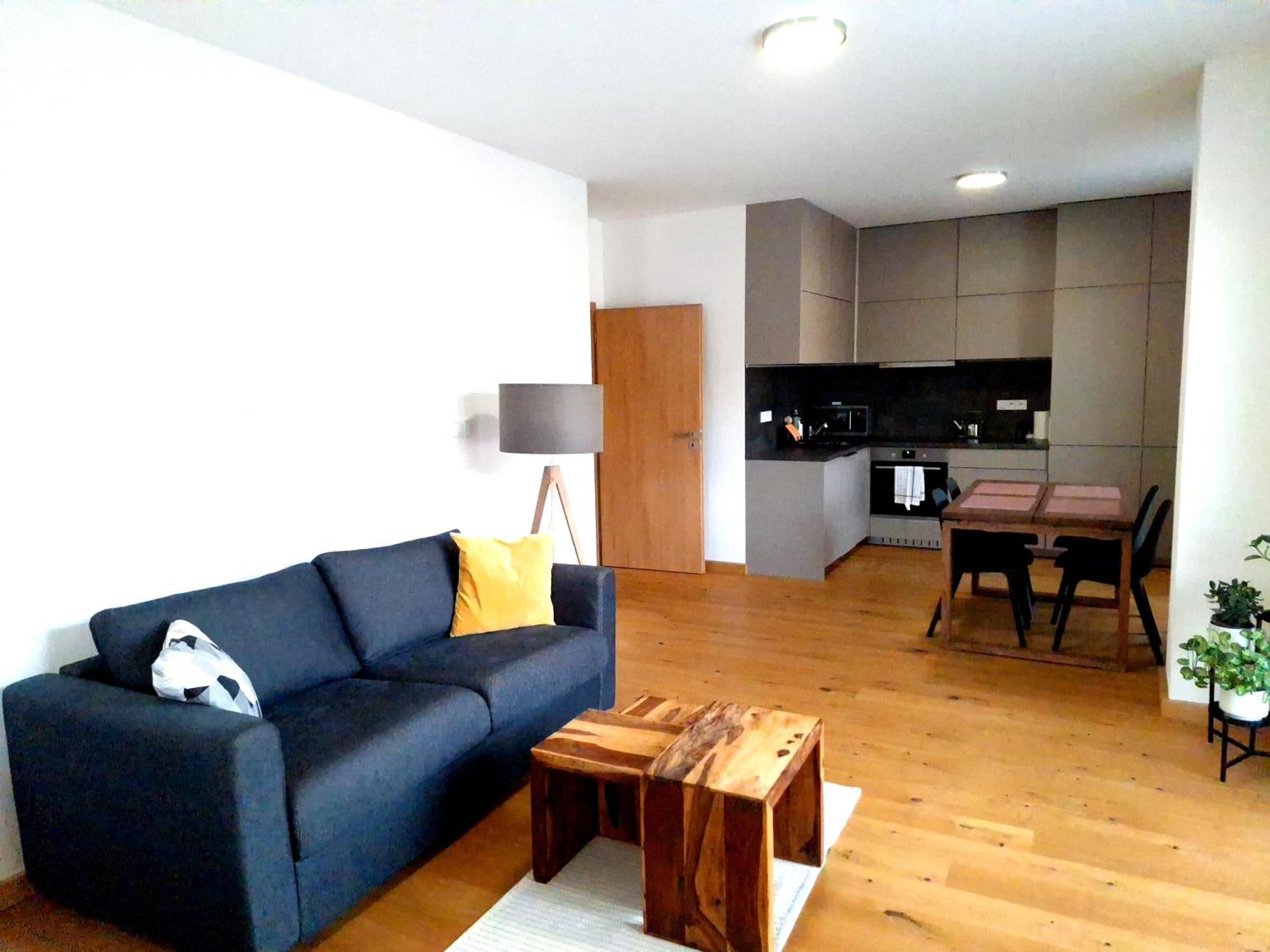 Studio Apartman 22, Rezidence Javor Zelezna Ruda Exterior photo