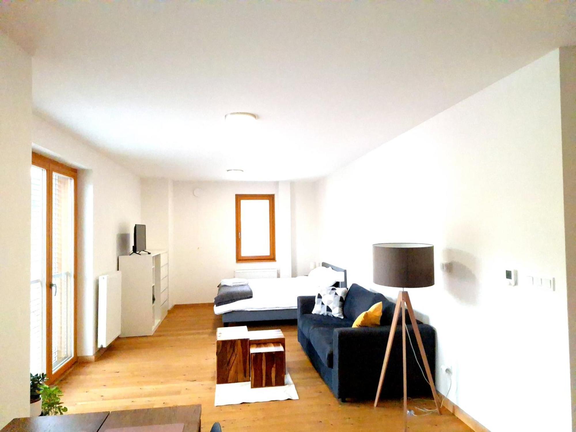 Studio Apartman 22, Rezidence Javor Zelezna Ruda Exterior photo